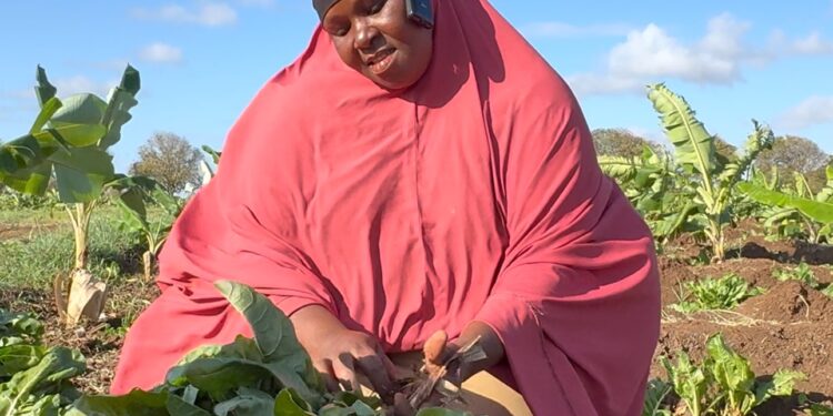 What do you know about the unseen hands of Somali women, the backbone of agricultural production?”