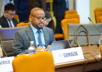 Somalia Reaffirms Global Stance at Key Non-Aligned Movement Summit in Kampala
